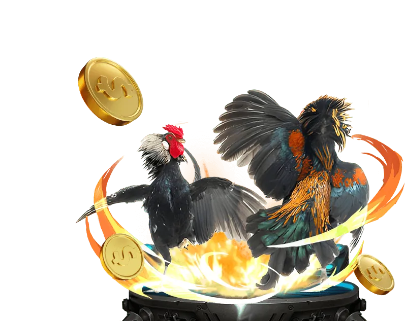 Quy trình lựa chọn ứng dụng cá cược